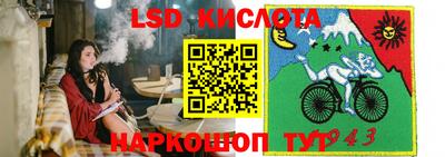 мяу мяу мука Тулун