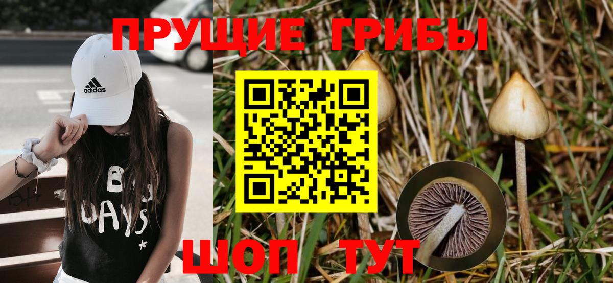 Галлюциногенные грибы GOLDEN TEACHER Тихвин